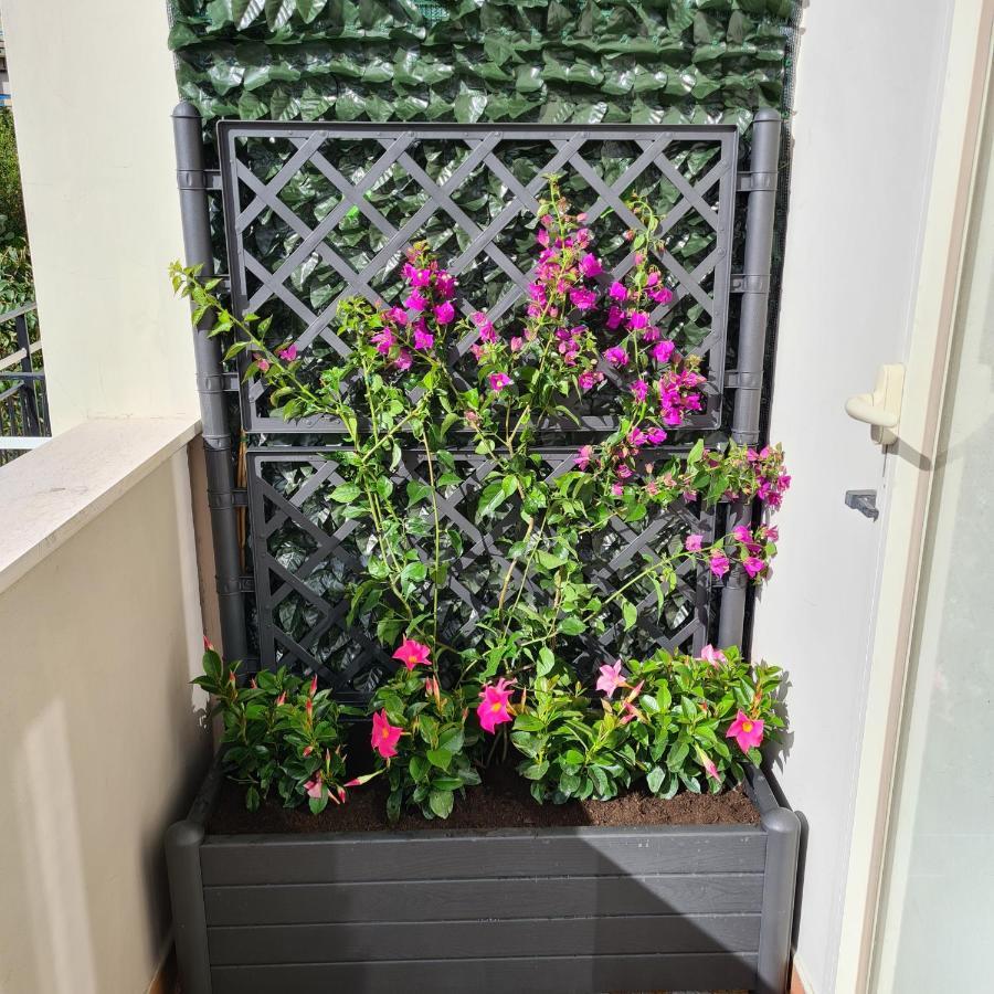 Maison Flavia Sorrento Ngoại thất bức ảnh